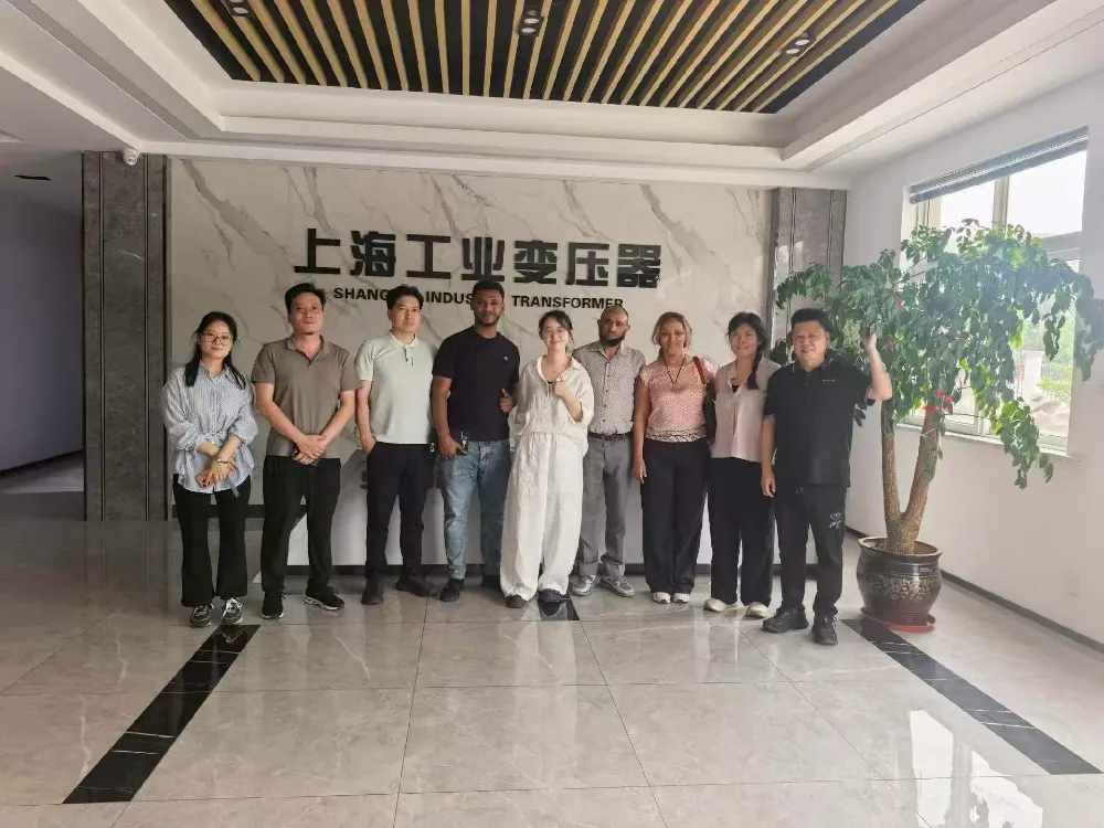 Accueil chaleureux ! Une délégation éthiopienne visite Shanghai Industrial Transformer Co., Ltd. pour un échange sur les transformateurs et les équipements de distribution d'énergie